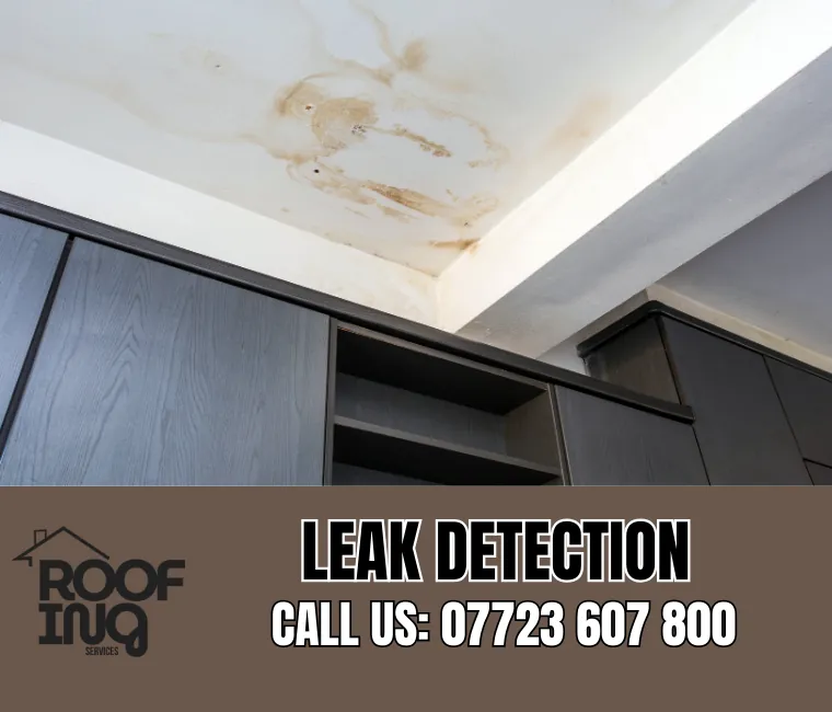 Roof Leak Detection in Callington