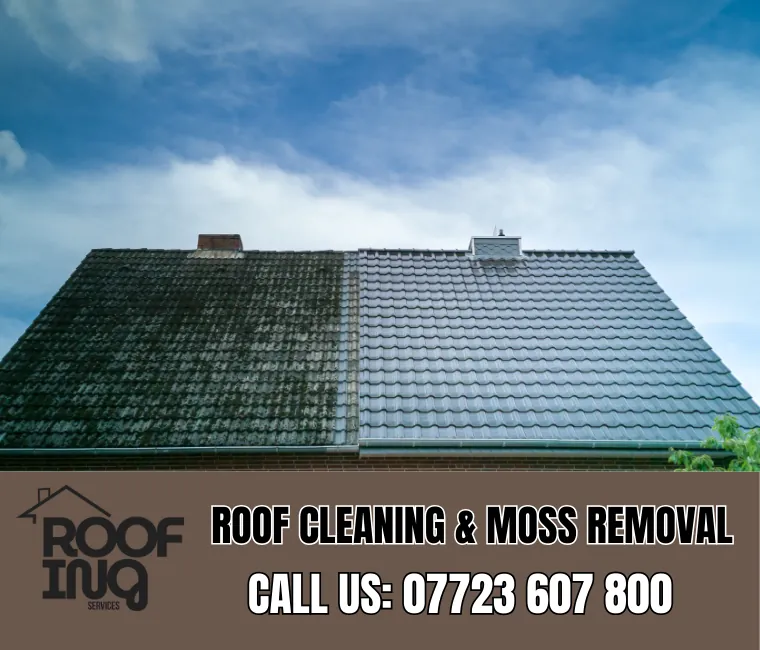 Roof Cleaning in Callington